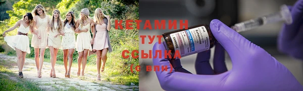 гашик Новозыбков