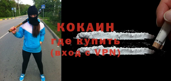 гашик Новозыбков