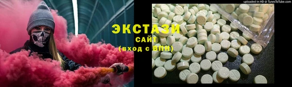 гидра Няндома