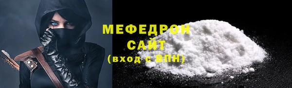 гидра Няндома