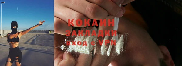 гидра Няндома