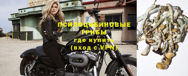 дмт Новодвинск