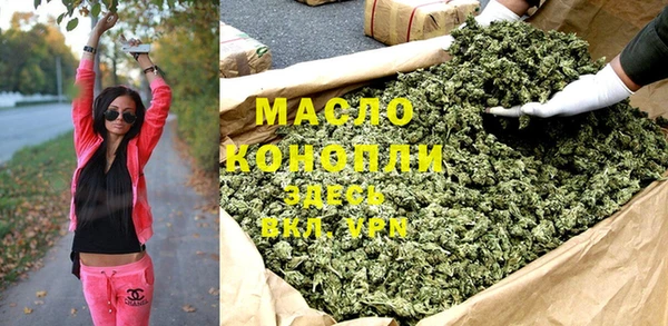 гашик Новозыбков