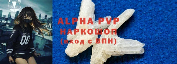 гашик Новозыбков