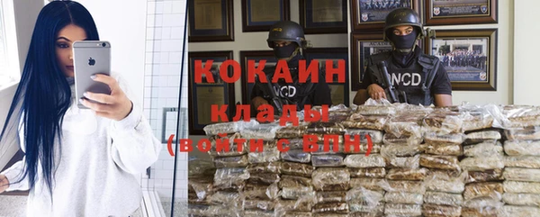 гашик Новозыбков