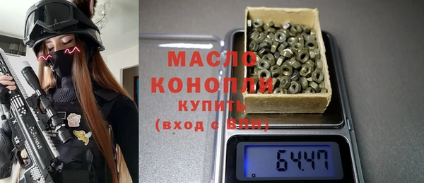 гидра Няндома