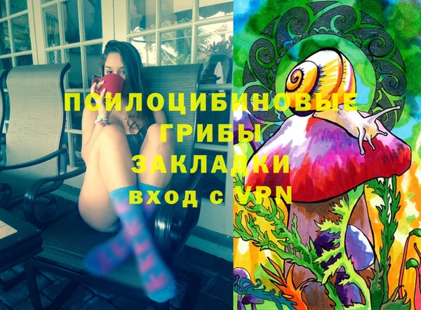 гашик Новозыбков