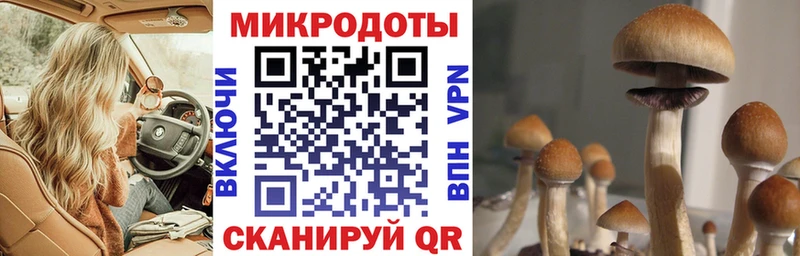 Галлюциногенные грибы GOLDEN TEACHER Мончегорск